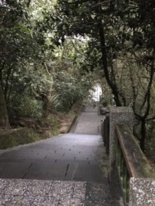 台湾日月潭の玄光寺を散歩しながら撮った写真③